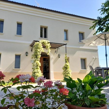 Villa Marietta Country House - Marche Montemaggiore al Metauro Exterior photo