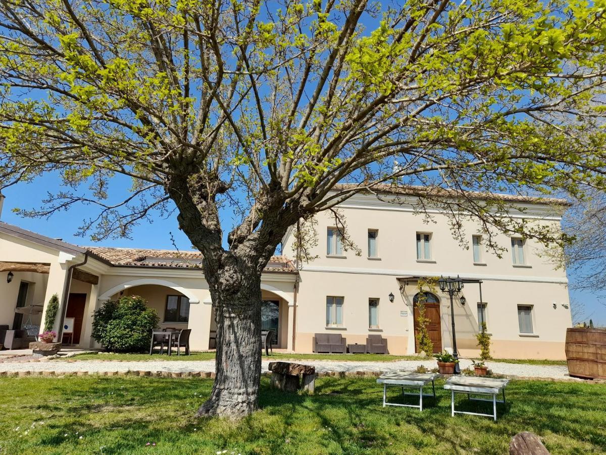Villa Marietta Country House - Marche Montemaggiore al Metauro Exterior photo
