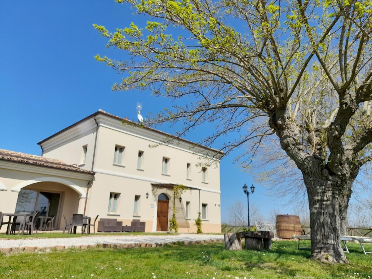 Villa Marietta Country House - Marche Montemaggiore al Metauro Exterior photo
