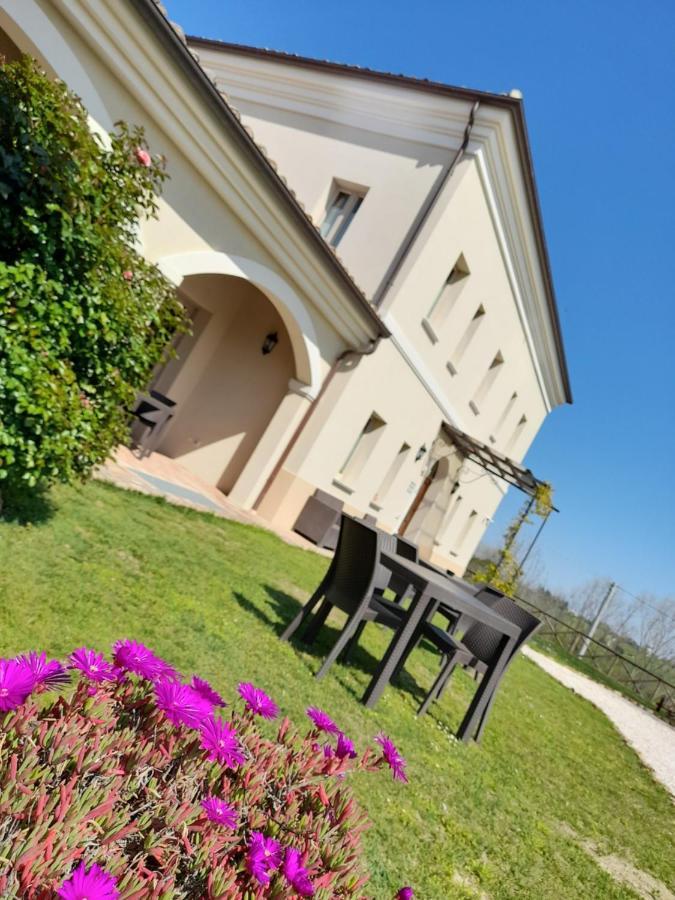 Villa Marietta Country House - Marche Montemaggiore al Metauro Exterior photo