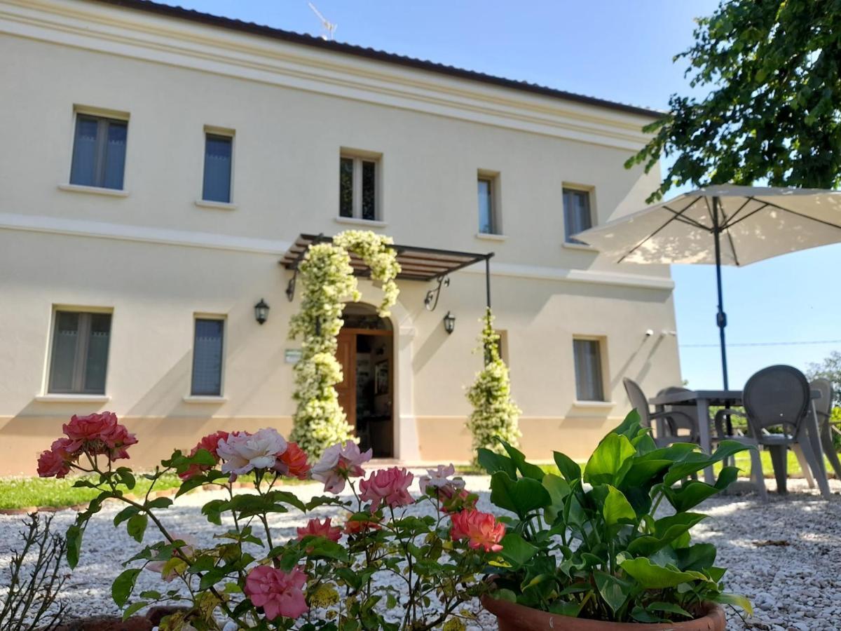 Villa Marietta Country House - Marche Montemaggiore al Metauro Exterior photo