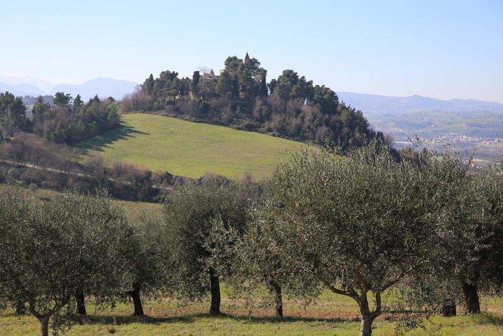 Villa Marietta Country House - Marche Montemaggiore al Metauro Exterior photo